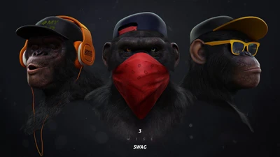 macaco, not hear talk see, swag