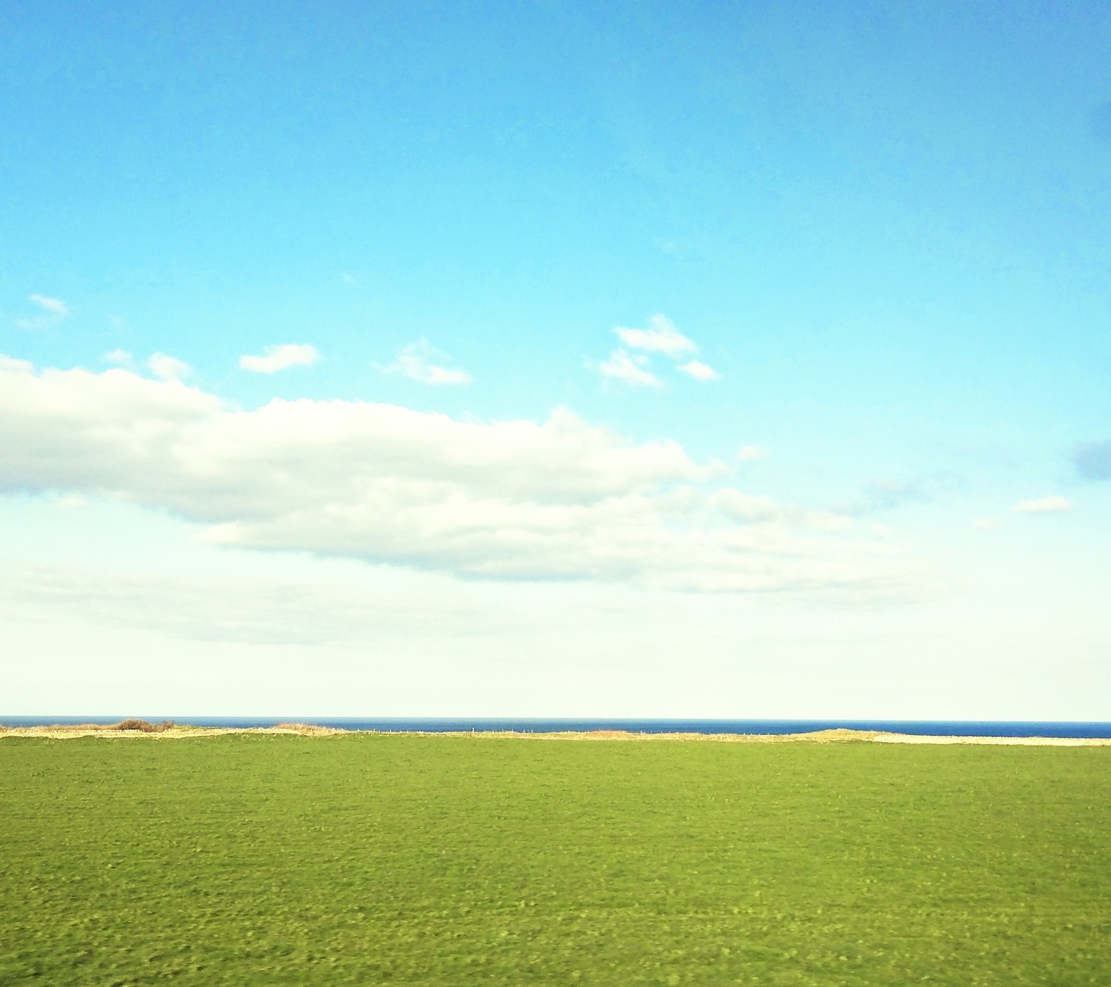 There is a green field with a blue sky and a white cloud (blue, green, land, space, xp)