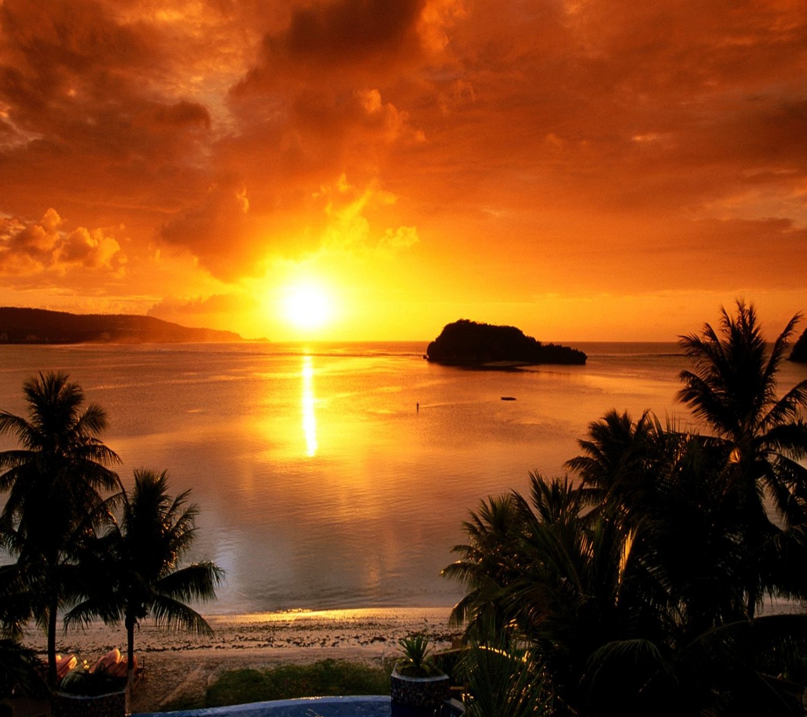 Sunset over the ocean with palm trees and a boat in the water (android, samsung galaxy nexus)