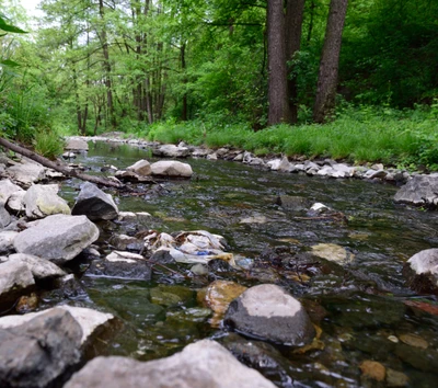 Rio sereno fluindo através de uma paisagem rochosa em vegetação exuberante