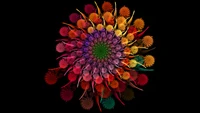 Vibrant Fractal Flower: A Symmetrical Burst of Colorful Petals in Psychedelic Design