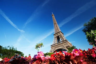 Torre Eiffel rodeada de flores vibrantes bajo un cielo despejado