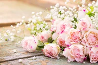 Delicate pink roses nestled among sprigs of baby's breath, showcasing an elegant floral arrangement.