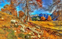 Autumn landscape with larch trees, vibrant foliage, rocky terrain, and majestic mountains in the background.