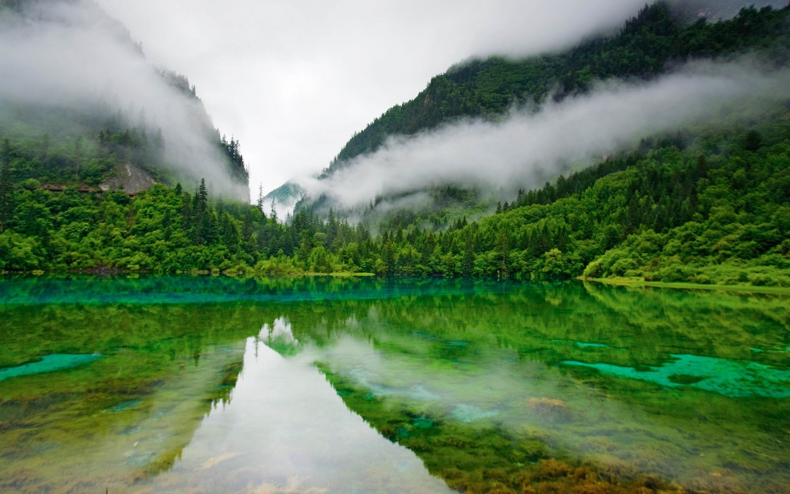 Uma vista de um lago com uma montanha ao fundo (reserva natural, natureza, recursos hídricos, terras altas, vegetação)