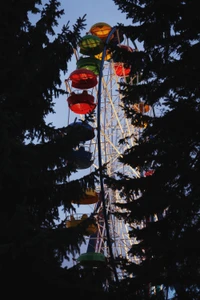 Buntes Riesenrad, eingerahmt von Bäumen vor einem Dämmerungshimmel.