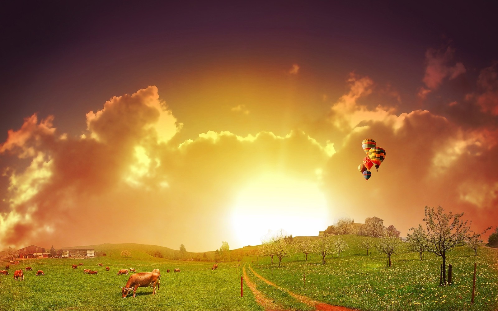 Une image d'un champ avec une cerf-volant volant dans le ciel (nature, nuage, ensoleillement, prairie, champs)