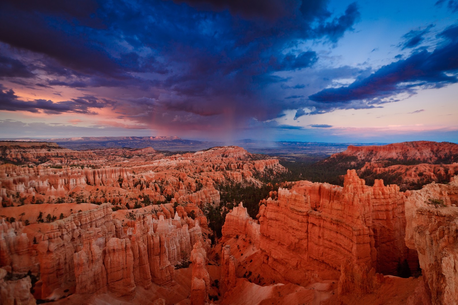 Une vue des hoodoos dans le canyon de bryce, utah (parc national de bryce canyon, parc national de zion, zion national park, parc national de canyonlands, parc)