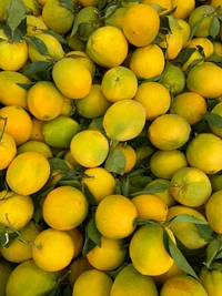 Lebendige Zitrusmischung: Frische Clementinen und Persische Limetten