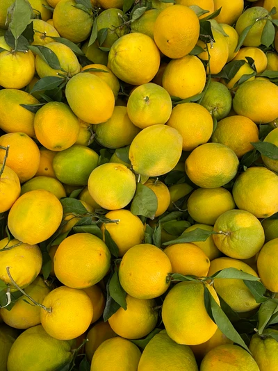 Mélange d'agrumes vibrant : clémentines fraîches et citrons verts persans