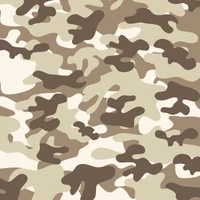 Multi-Scale Military Camouflage Pattern in Brown and Grey