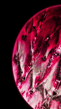 Magenta Fluid Dynamics on a Celestial Surface