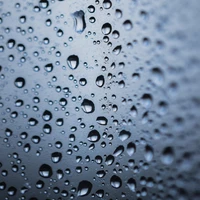 dew, water, drop, drizzle, moisture wallpaper