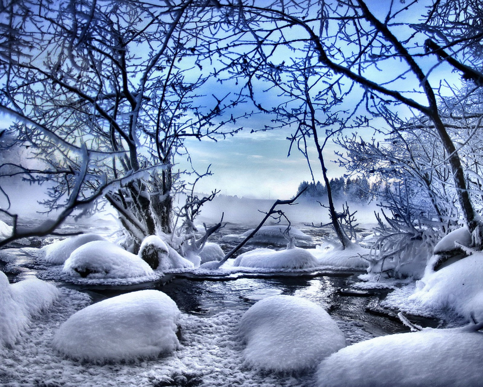 Arroyo nevado en el bosque con rocas y árboles en primer plano (nieve, invierno, naturaleza, árbol, congelación)