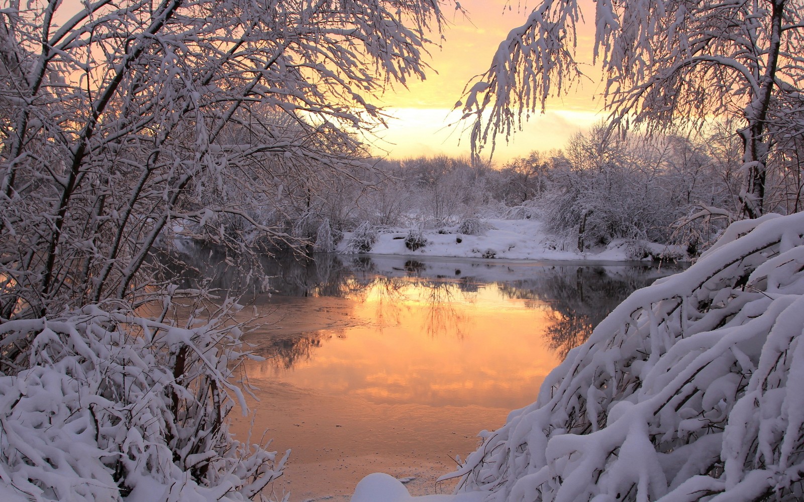 Schneebedeckte bäume und büsche neben einem fluss in einer schneebedeckten landschaft (winter, natur, schnee, reflexion, wasser)