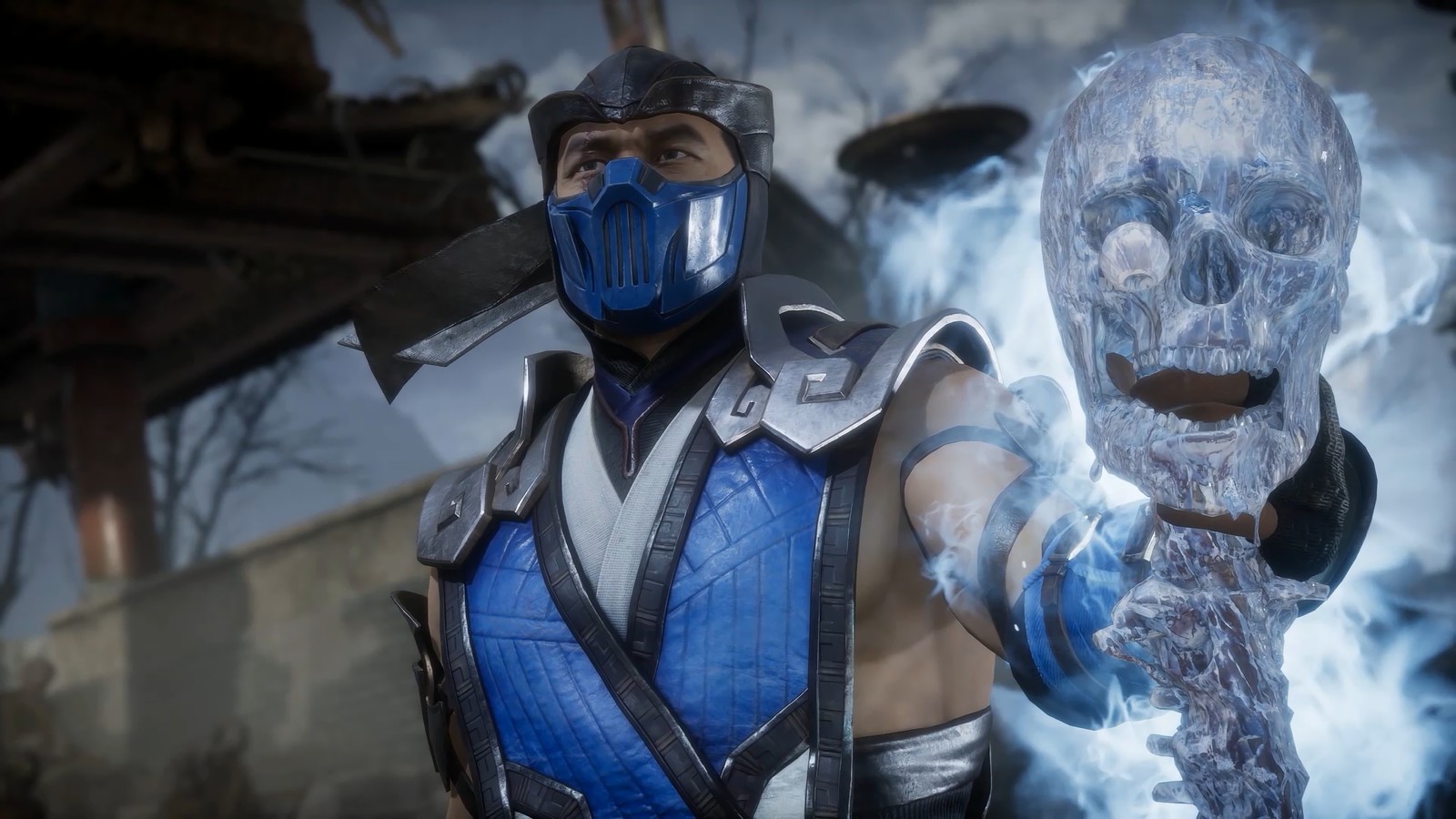 A close up of a person in a blue costume holding a sword (sub zero, mortal kombat 11, video game)