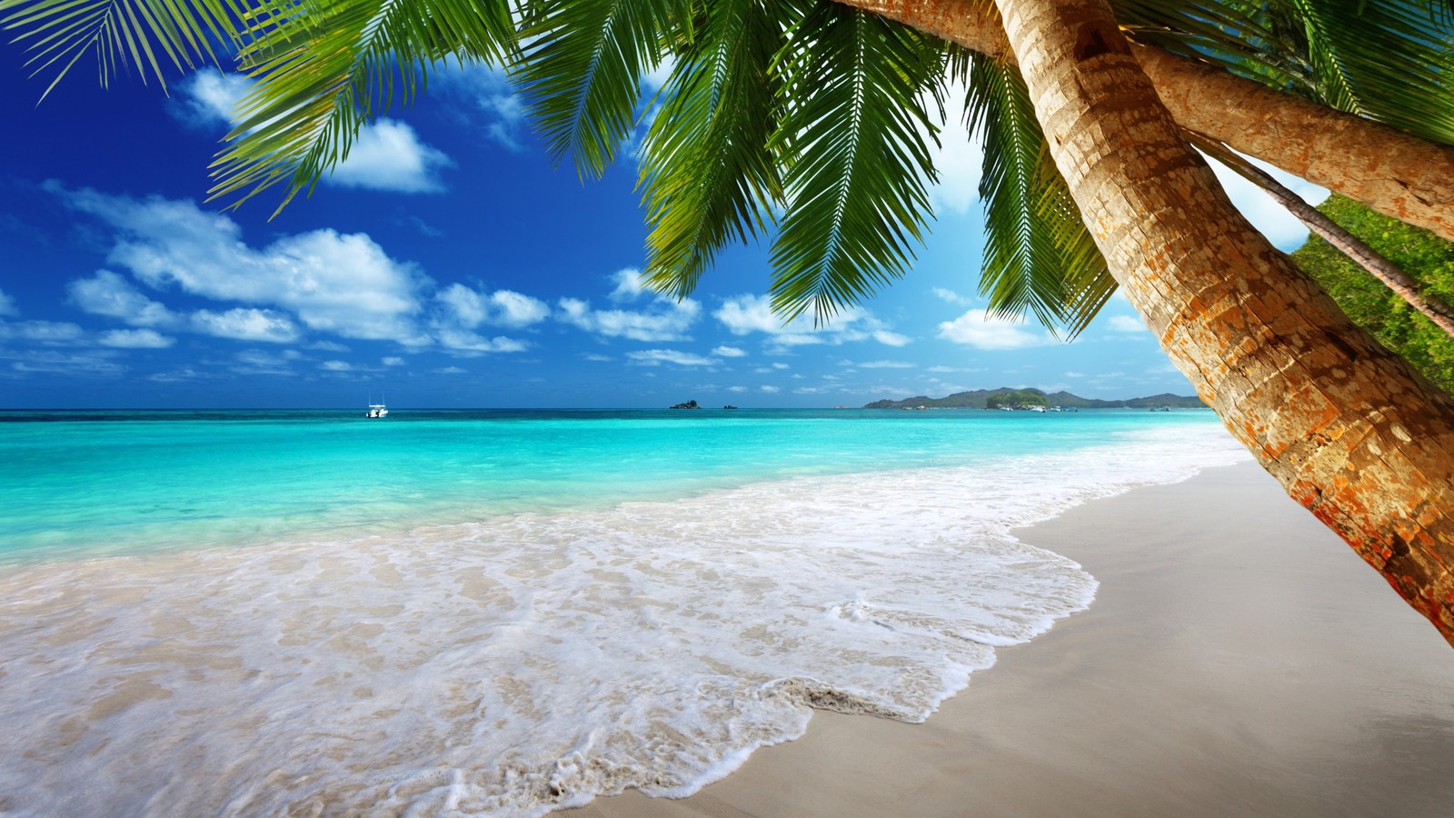 Vue d'une plage avec des palmiers et un bateau dans l'eau (plage, plan deau, tropiques, océan, mer)