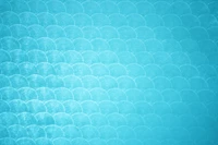 Textured Aqua Pattern with Scalloped Design