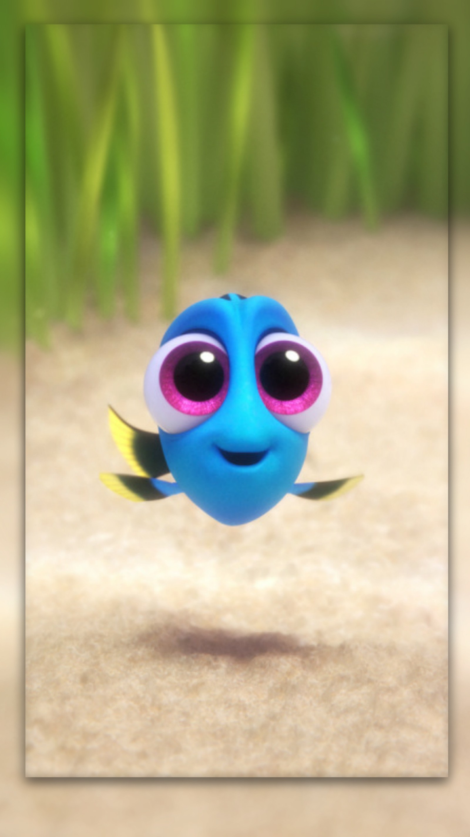 Baixar papel de parede bebé, fofo, dory, peixe, filme