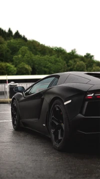 Sleek Black Lamborghini Against a Lush Green Natural Backdrop