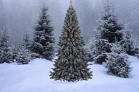 christmas, christmas tree, night, snow, tree wallpaper