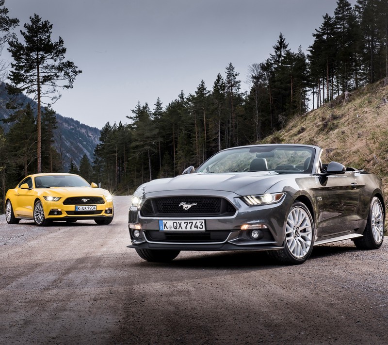 Две машины припаркованы на дороге рядом с лесом (авто, машина, ford, мустанг, mustang)