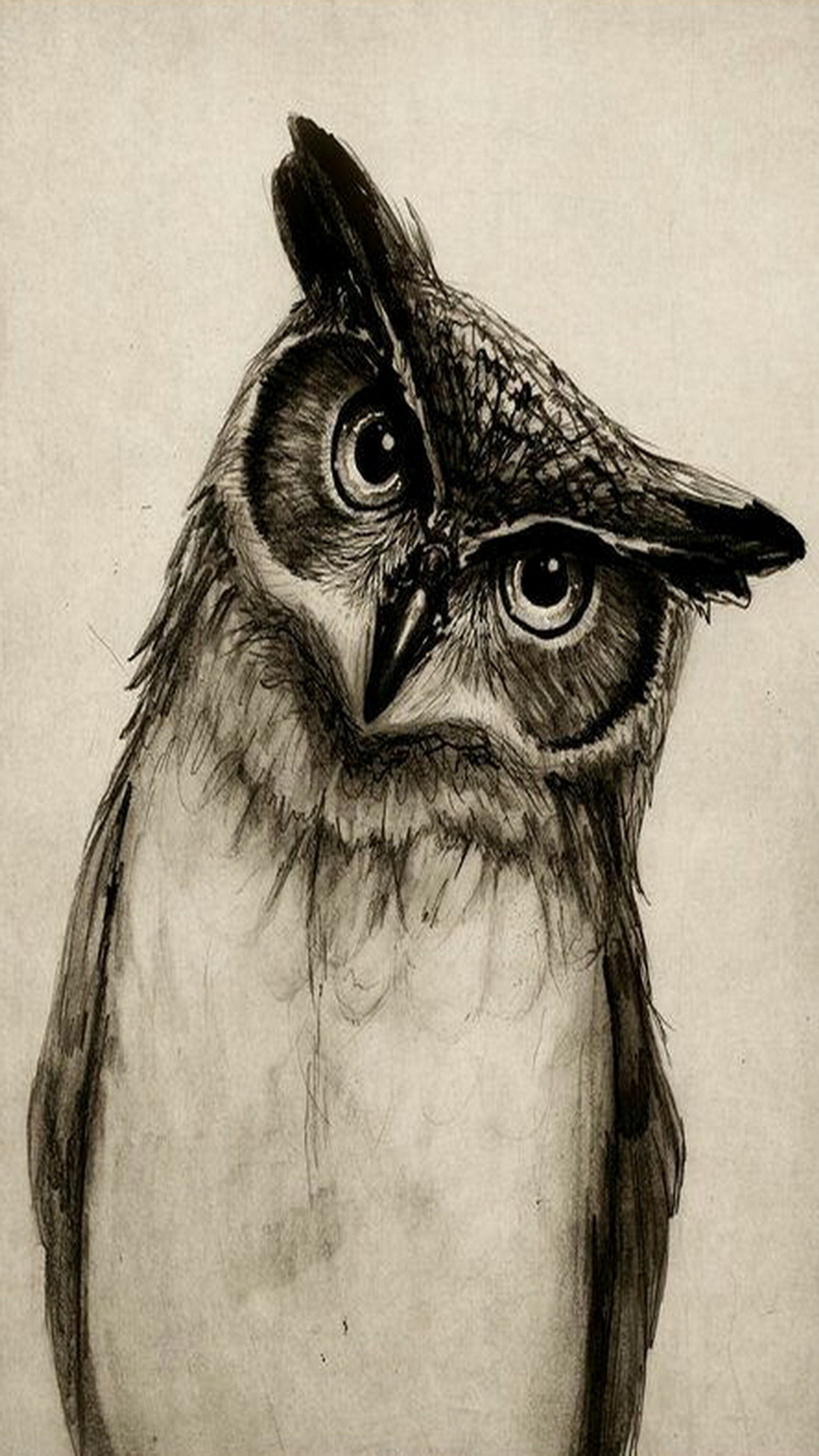 Drawing of a bird with a black beak and a long beak (art, drawing, owl)