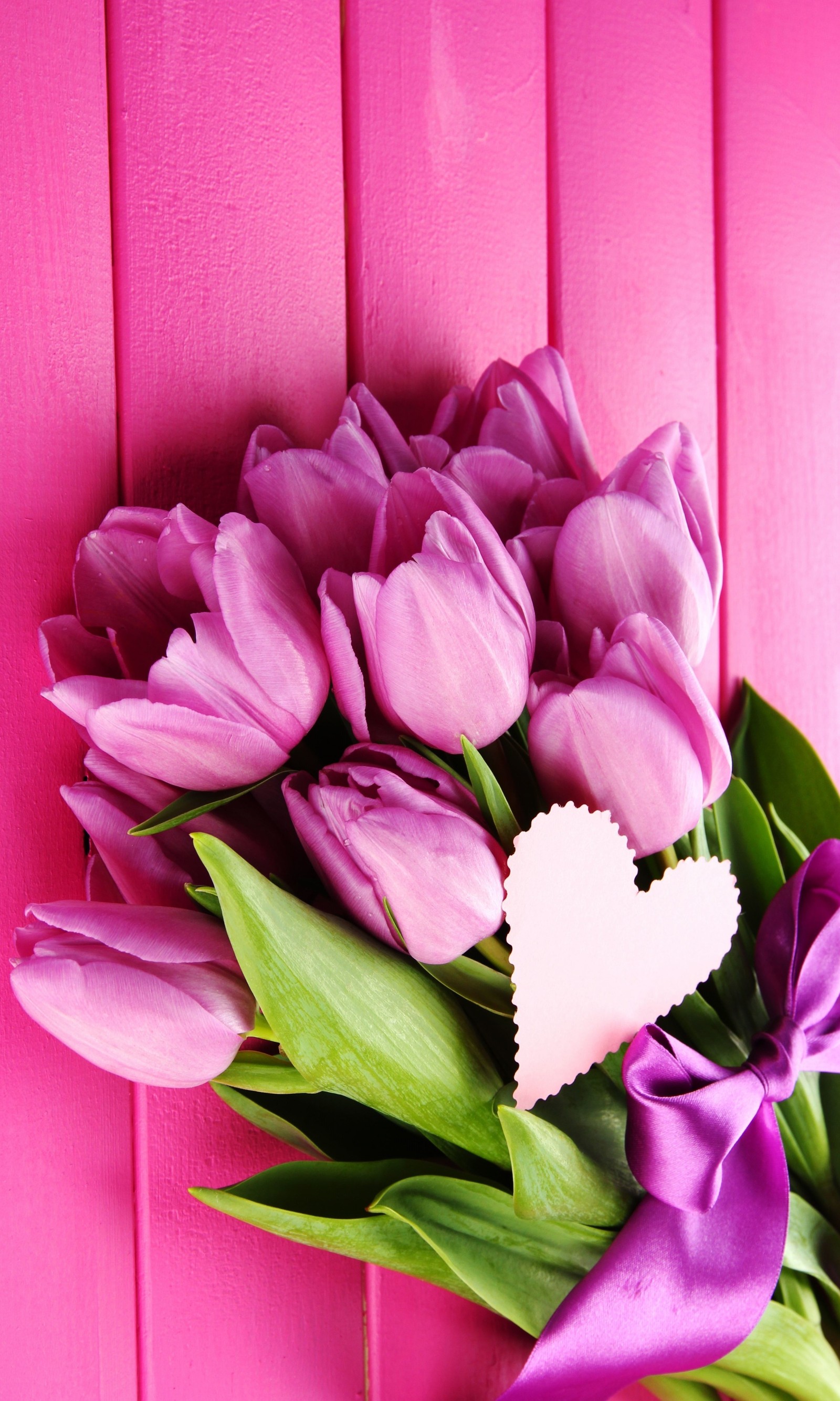 Purple tulips with a heart shaped paper on a pink background (bouquet, flowers, heart, love, purple tulip)