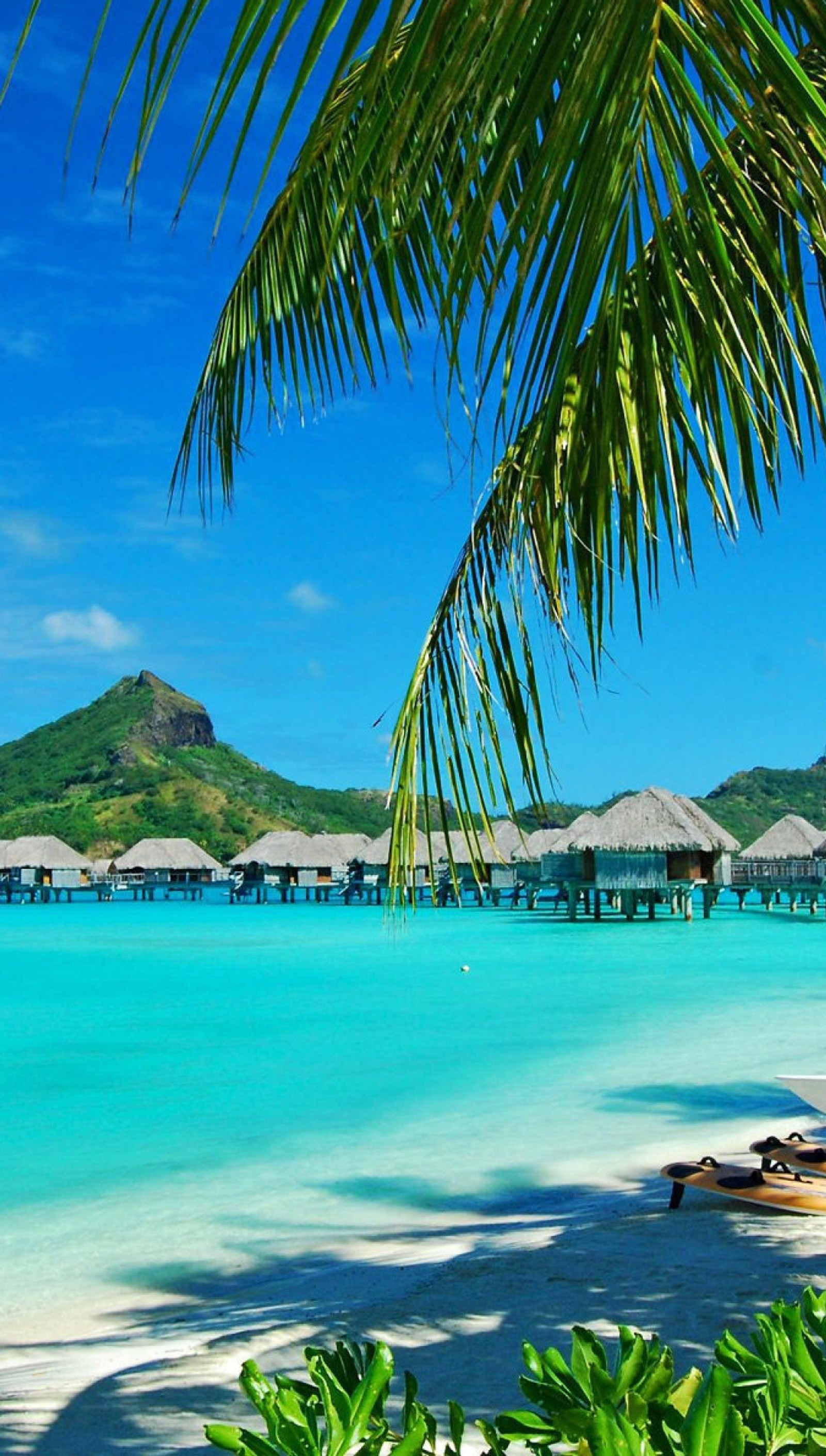 Palmier sur la plage avec vue sur une villa sur l'eau (plage, beau, bleu, bora bora, vert)