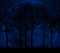 Lunar Shadows: Trees Silhouetted Against a Glowing Moon