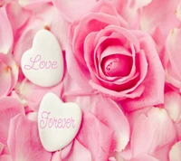 Love Forever: A Romantic Arrangement of Pink Rose Petals and Heart-Shaped Stones