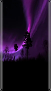 aurora, edges, field, nature, purple wallpaper