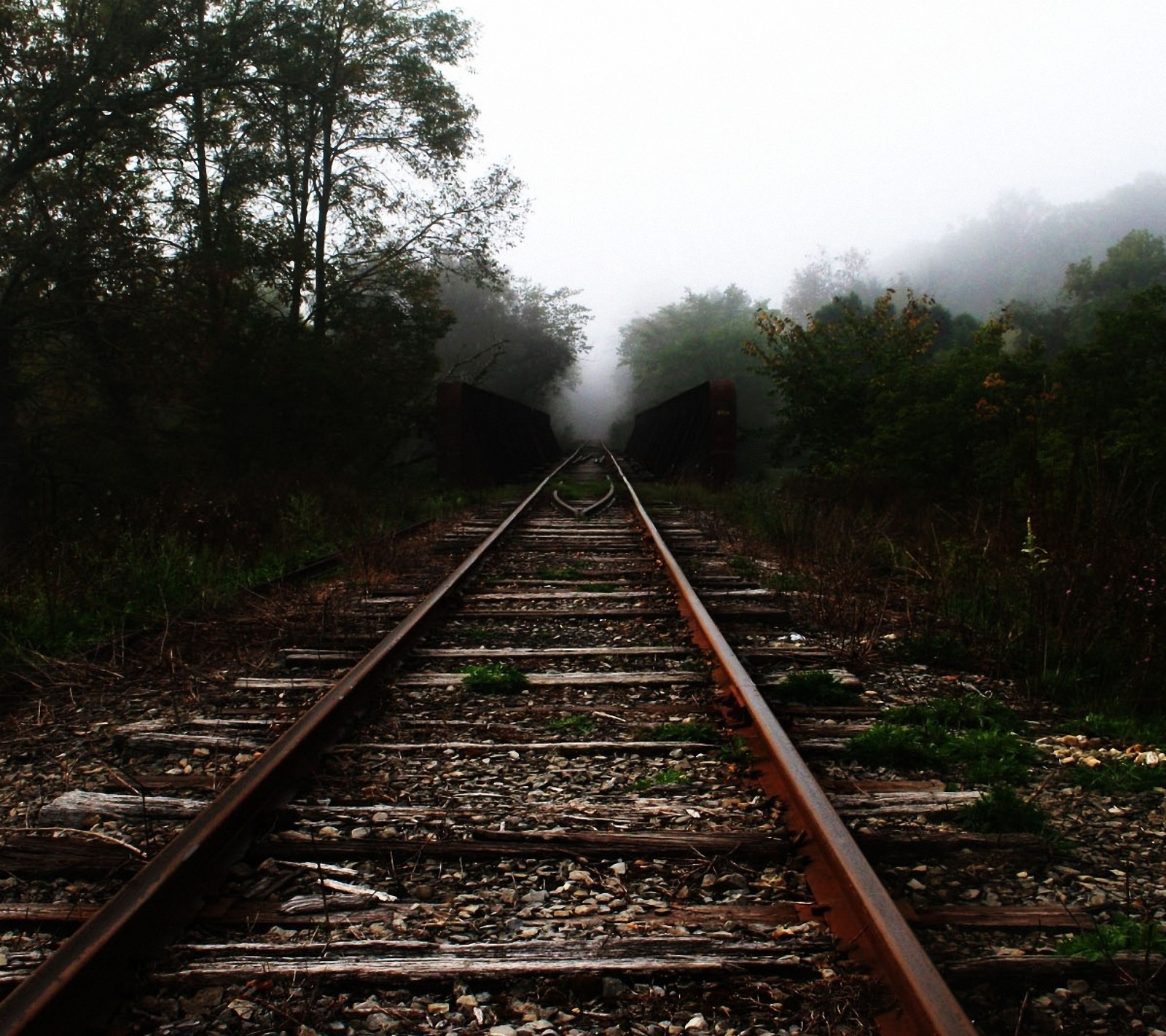 Una vía de tren que pasa por el bosque (ferrocarril, pista, train is come, árboles)