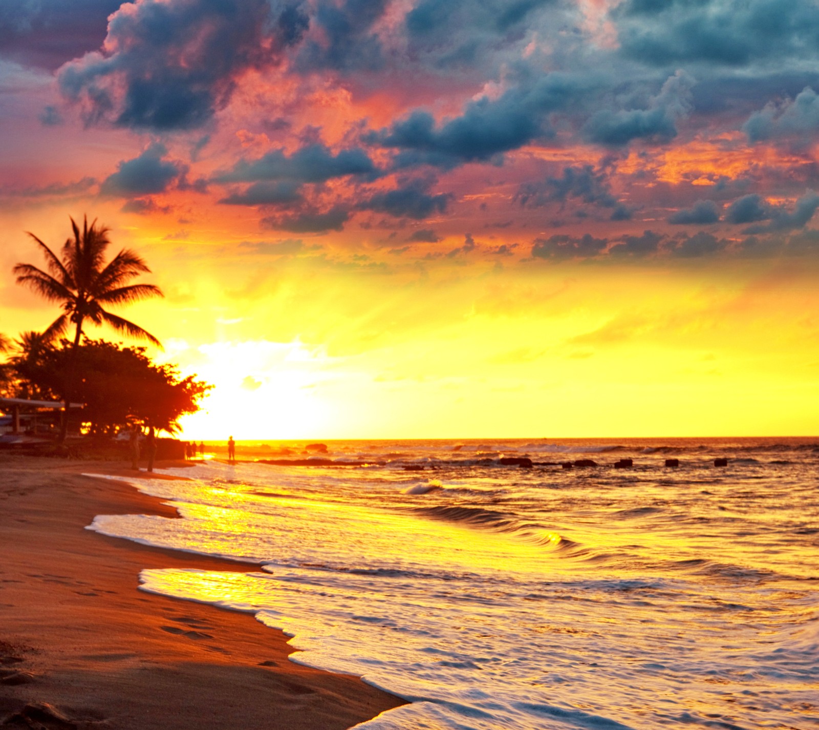 Sonnenuntergang am strand mit einem surfbrett im sand (palm tree sunset, rolling waves, sonnenuntergang, tropischer sonnenuntergang)