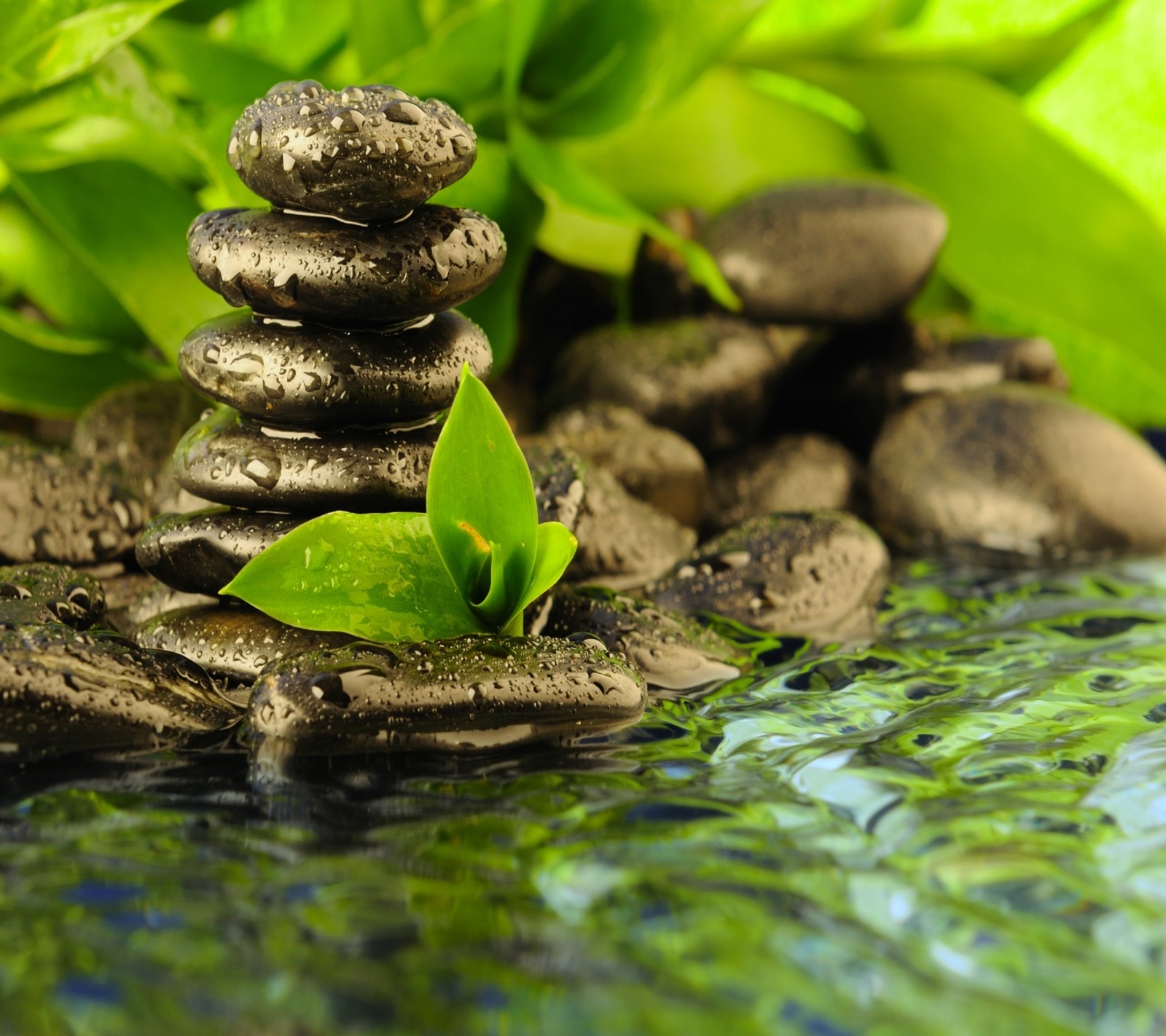 There is a pile of rocks sitting on top of a river (nature, stone, summer, water)