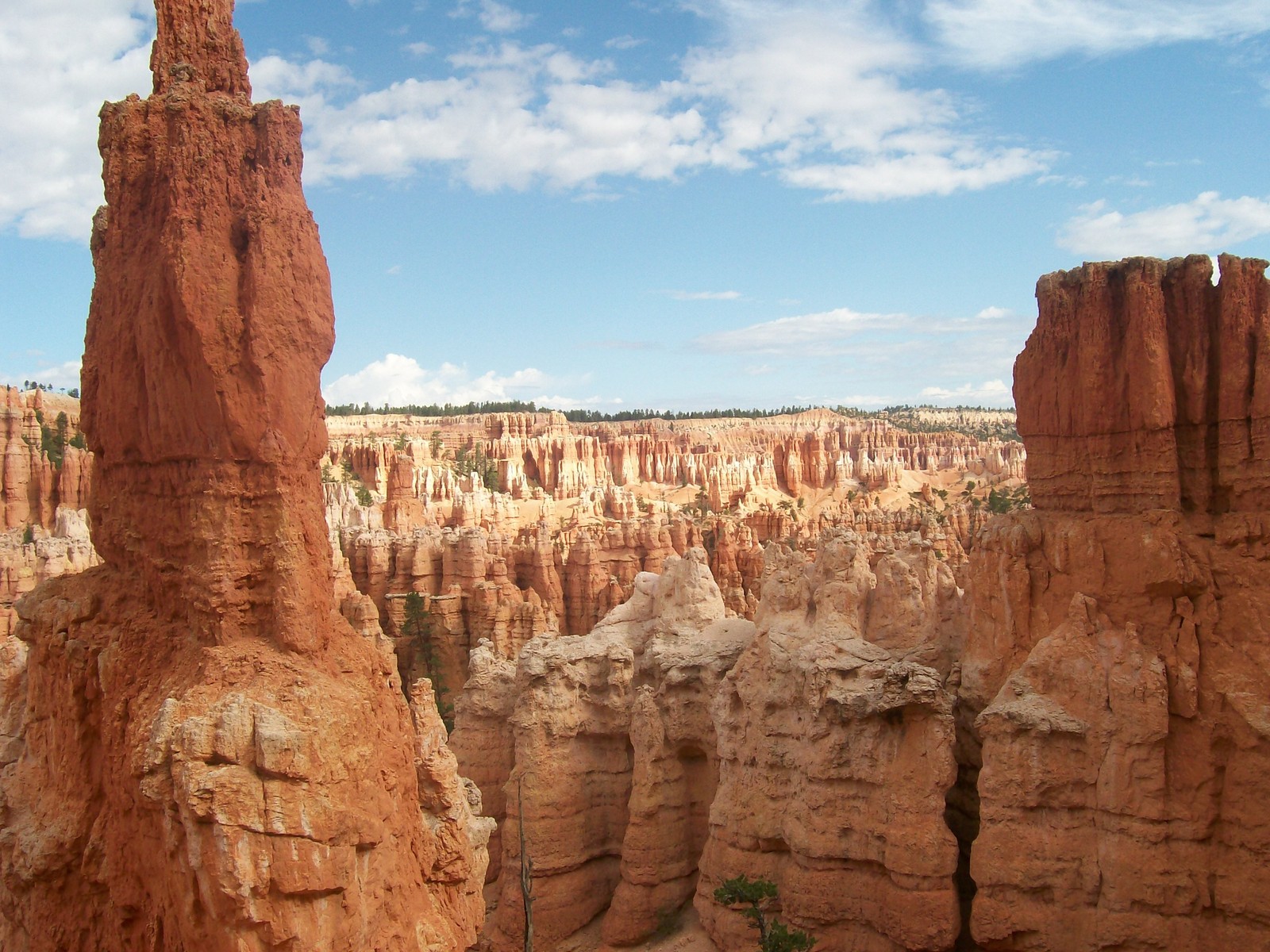 Girafes dans le canyon avec un ciel en arrière-plan (canyon, butte, géologie, affleurement, badlands)