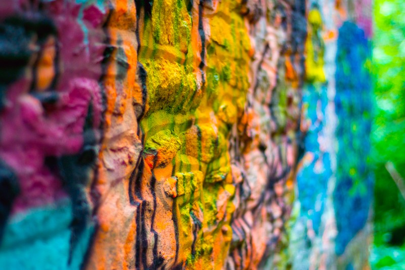 A close up of a wall with a bunch of colorful graffiti on it (green, euclidean vector, leaf, blue, tree)