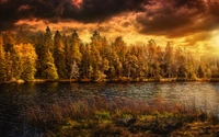 Autumn Serenity: A Reflective Lake Surrounded by Fiery Foliage and Dramatic Skies.