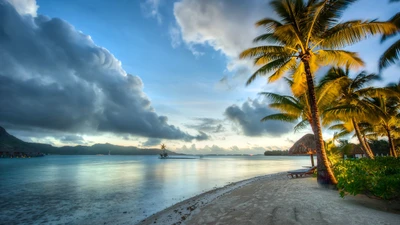 Serener Bora Bora Strand bei Sonnenuntergang mit Palmen und ruhigem Wasser