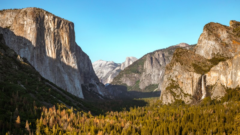 Вид на долину с горой на заднем плане (долина йосемити, yosemite valley, парк, природный пейзаж, полукруглый купол)