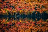 Reflexão da folhagem de outono no Parque Provincial Algonquin, Ontário