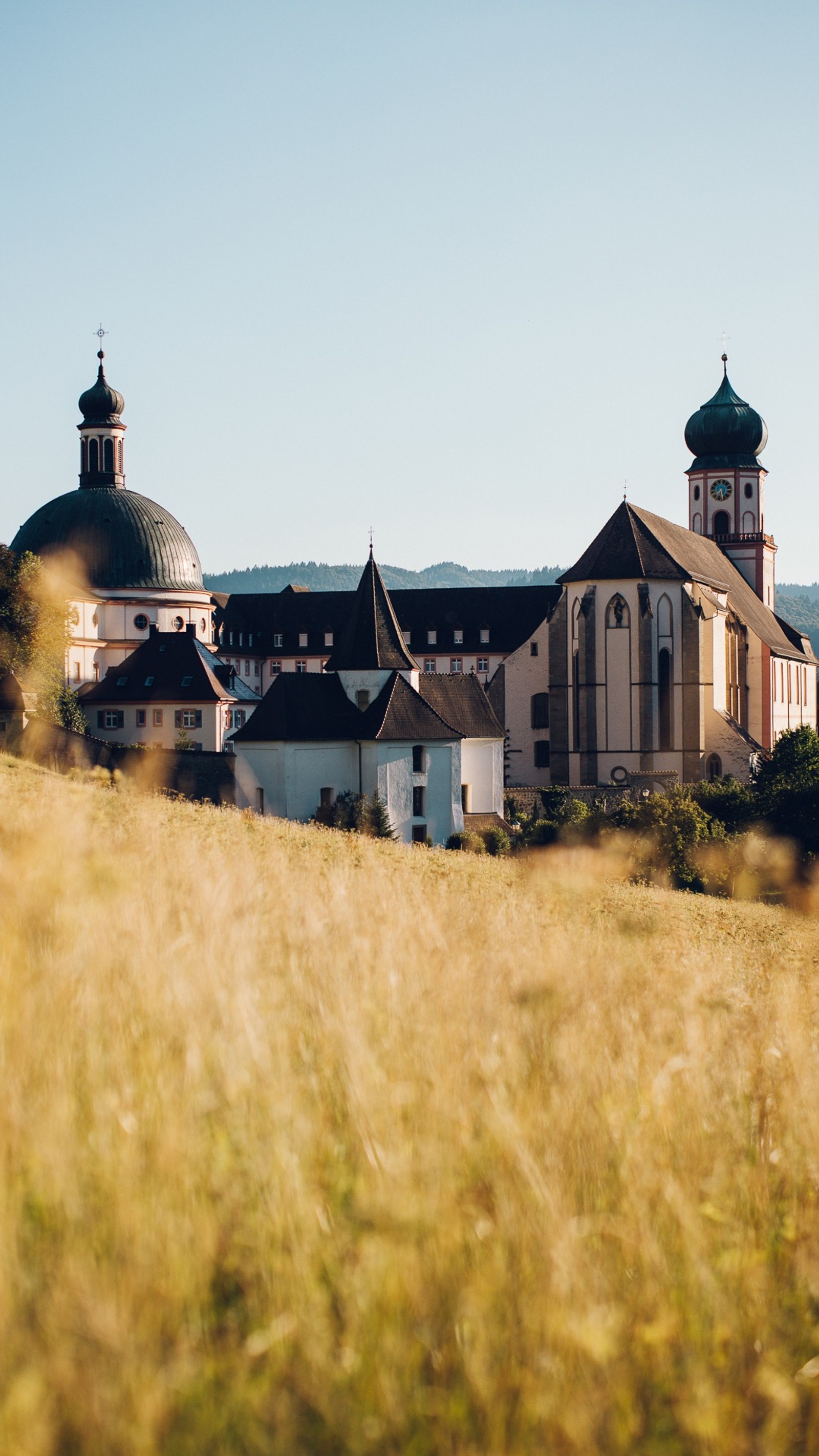 There is a large building with a tower in the middle of a field (house, plant, window, building, landscape)