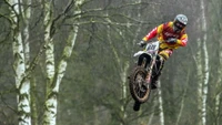 árvore, motocross estilo livre, enduro, motocross, mountain bike downhill