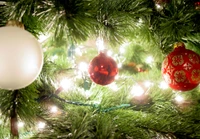 Glowing Christmas Tree Ornaments Amidst Evergreen Branches