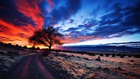 Lebhafter Sonnenuntergang über einer ruhigen Landschaft mit silhouettierter Baum