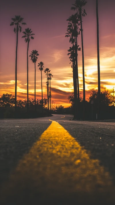 Pôr do sol dourado sobre uma rua ladeada de palmeiras