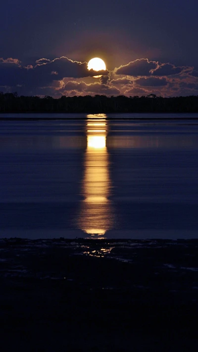 Reflejo de la luna llena sobre agua tranquila