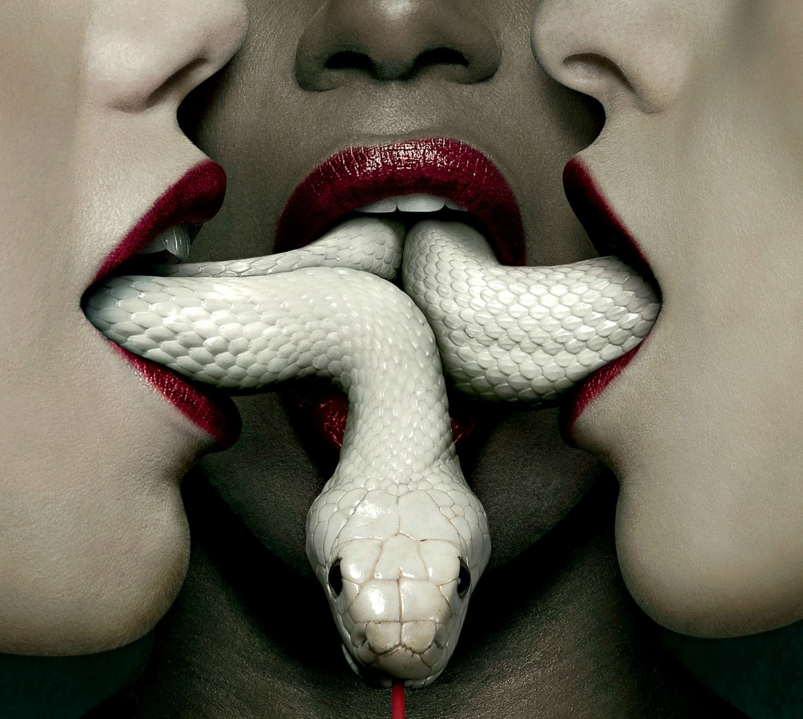 Lade american horror story, the series, the third season Hintergrund herunter