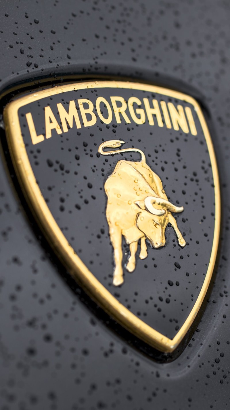 Близкий план логотипа lamborghini на черном автомобиле (чёрный, машины, lamborghini, логотип, любовь)