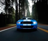 voiture, mustang shelby gt500, véhicule